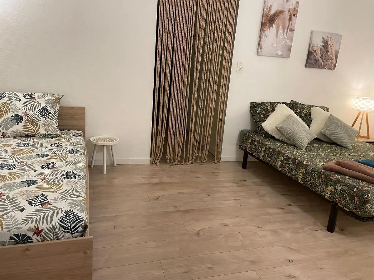 Appartement T2 Plein Centre Au 1Er Etage Avec Parking Prive à Millau